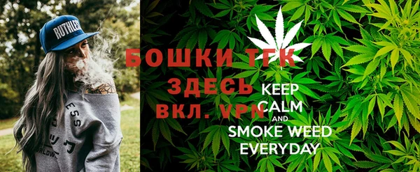 молекула духа Козловка