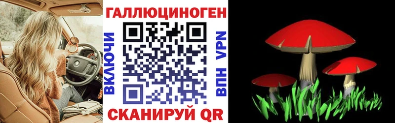 цены наркотик Дальнереченск Галлюциногенные грибы прущие грибы